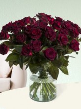 50-deep-red-roses-black-baccara-8720174081965-a_1
