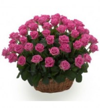 flower-basket-with-71-rose